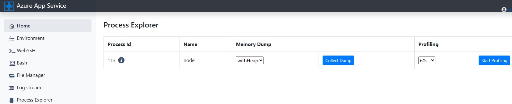 Process Explorer in Kudu